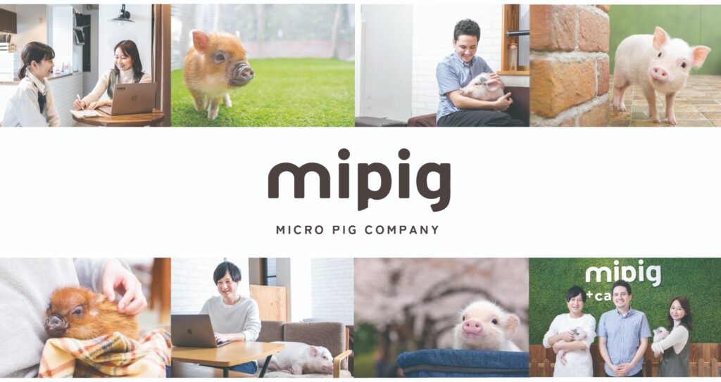 mipig_会社画像
